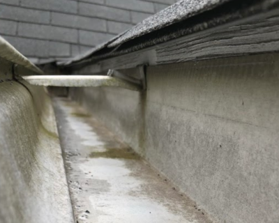 gutter-cleaning-cleaners-roswell-ga